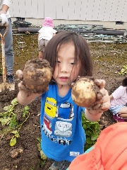 じゃがいも掘り🥔🥔🥔